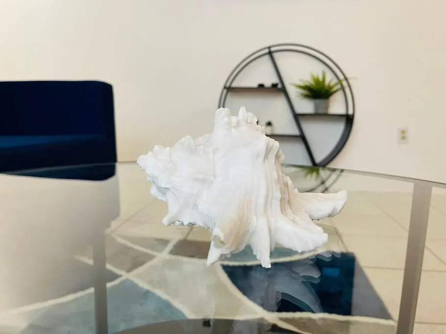 Alanis Condado Beach Apartment / 1 Minute Walking サンジョアン