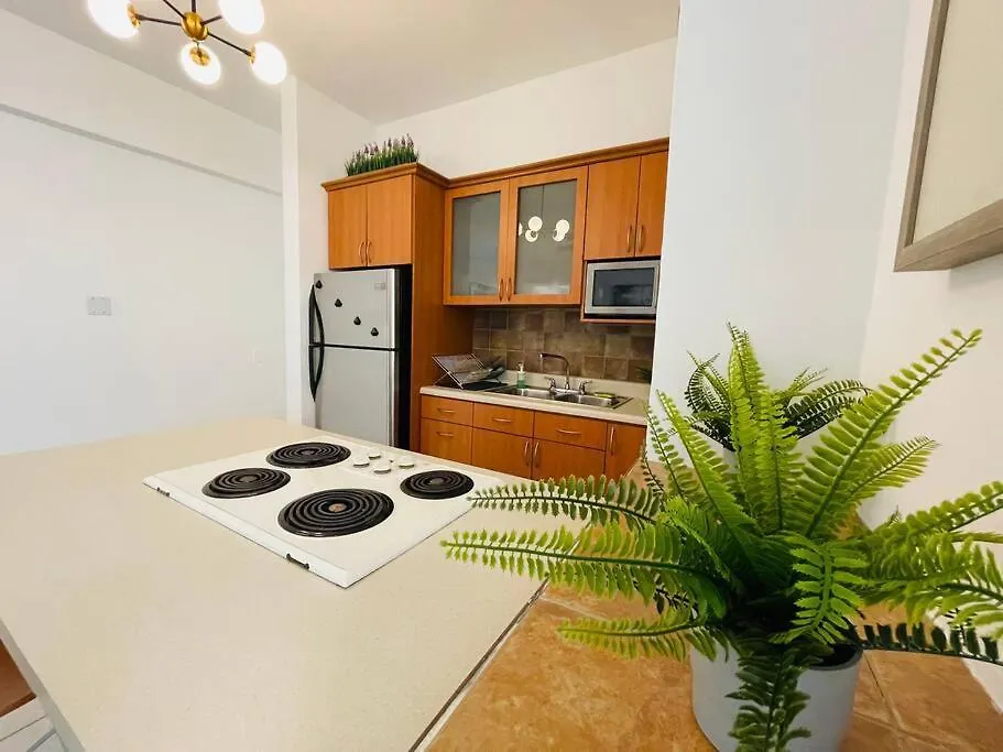Alanis Condado Beach Apartment / 1 Minute Walking サンジョアン